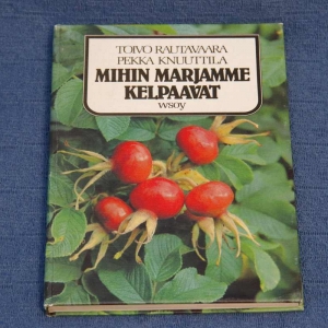 Toivo Rautavaara Mihin marjamme kelpaavat