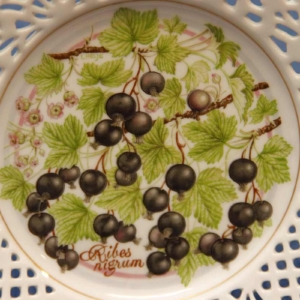 Seinälautanen Mustaherukka