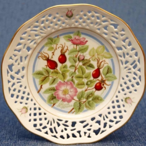 Seinälautanen Koiranruusu